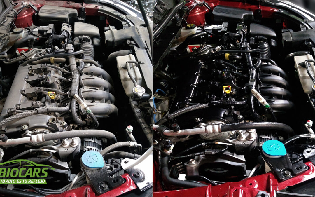 ¿Dónde puedo hacer un lavado de motor profesional en Concepción?